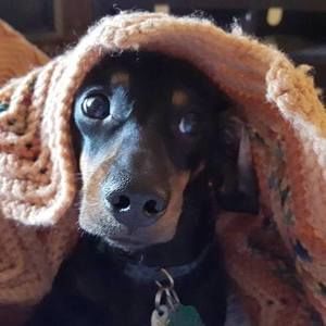 Meet your Posher, Brenda